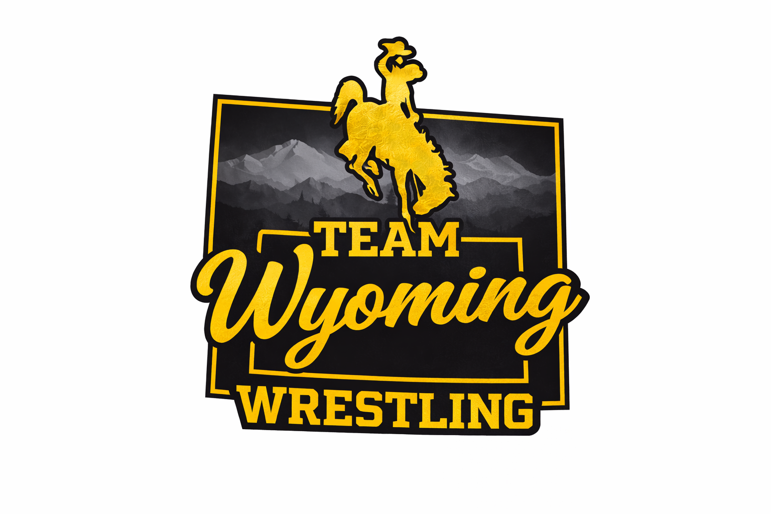 Team Wyoming Wrestling