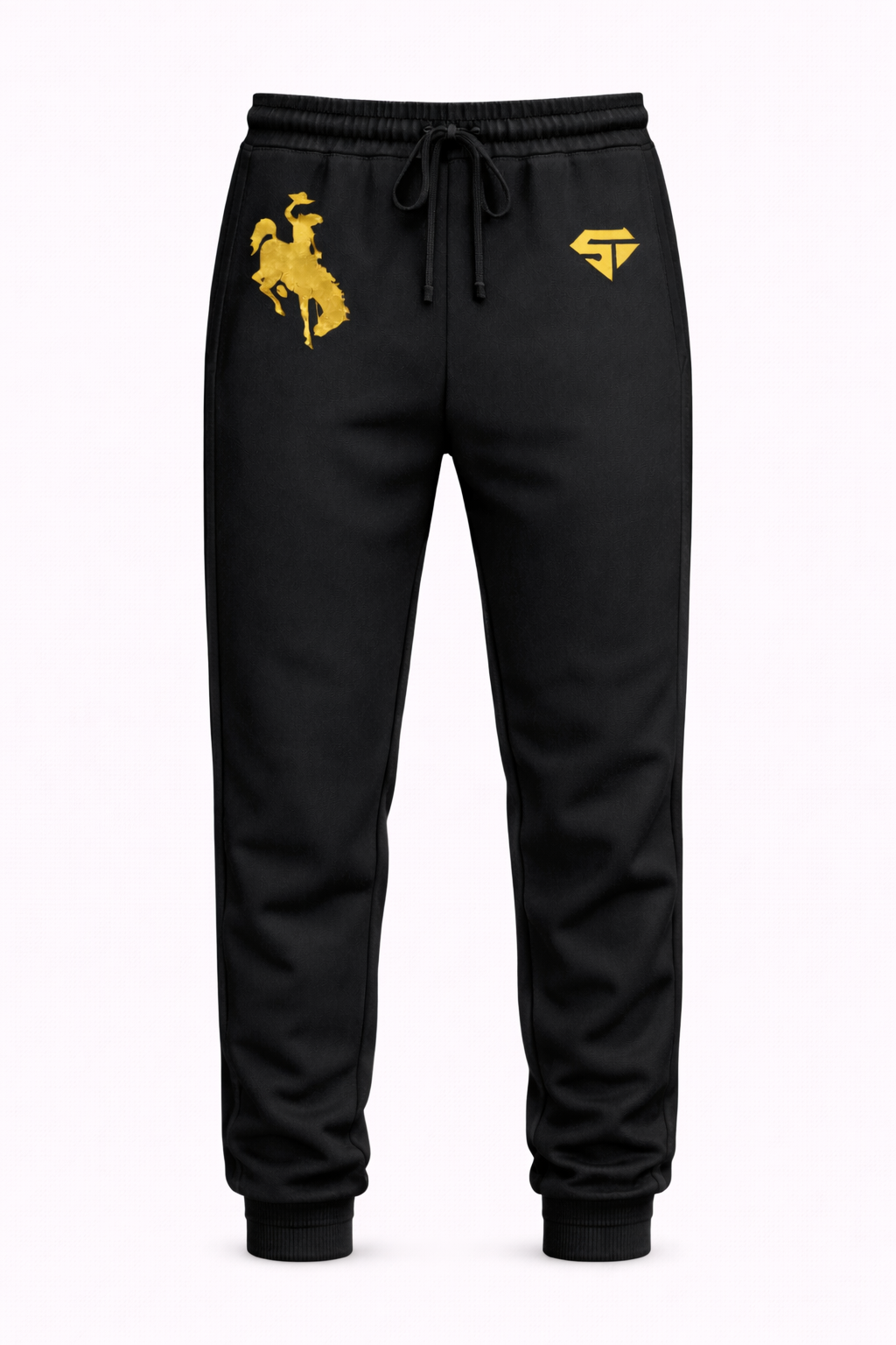 Team Wyoming Momentum Jogger