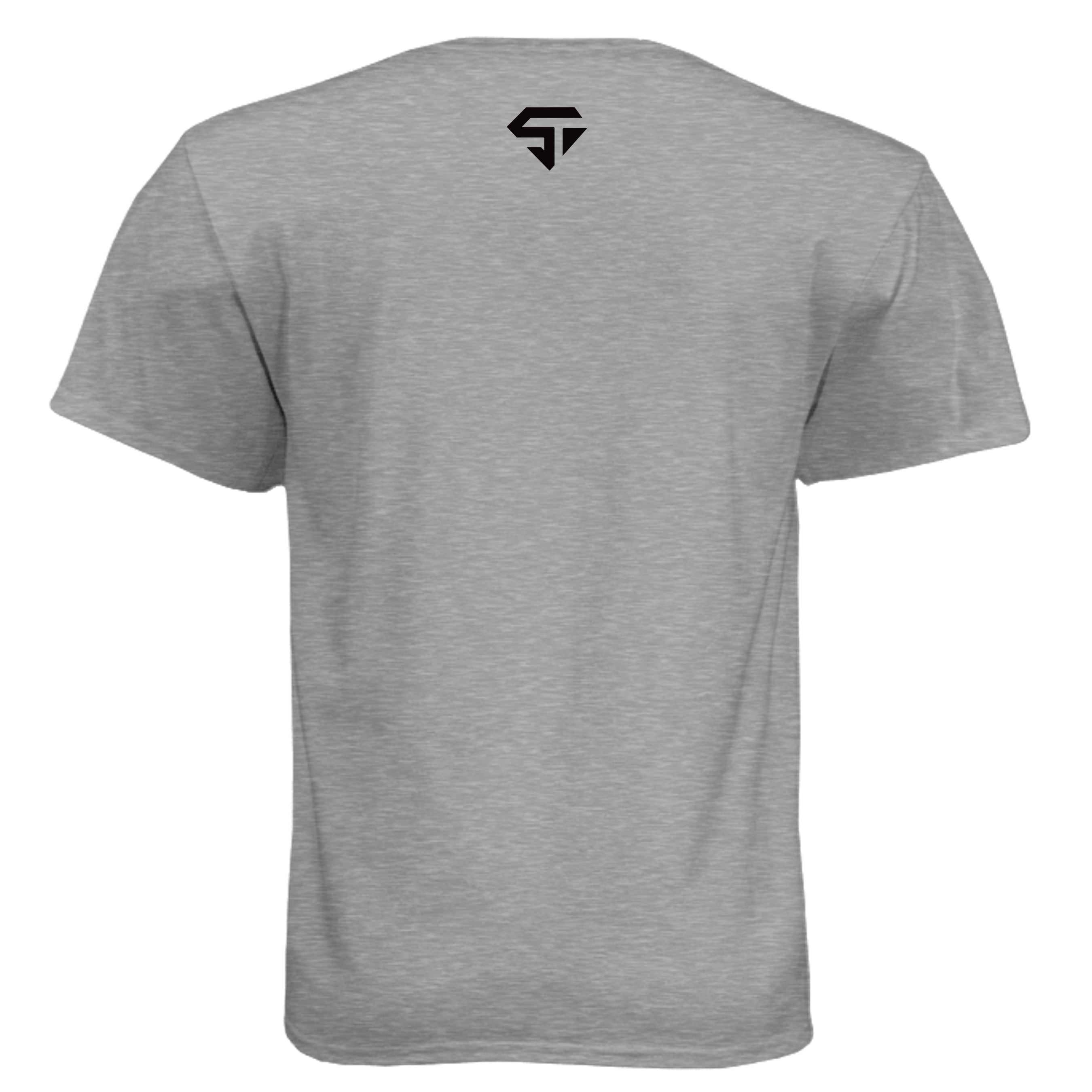 Dark Heather Grey (60/40) - N6210 - BACK